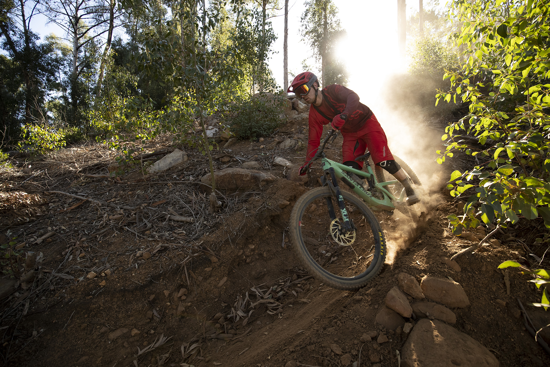 Santa Cruz Bicycles